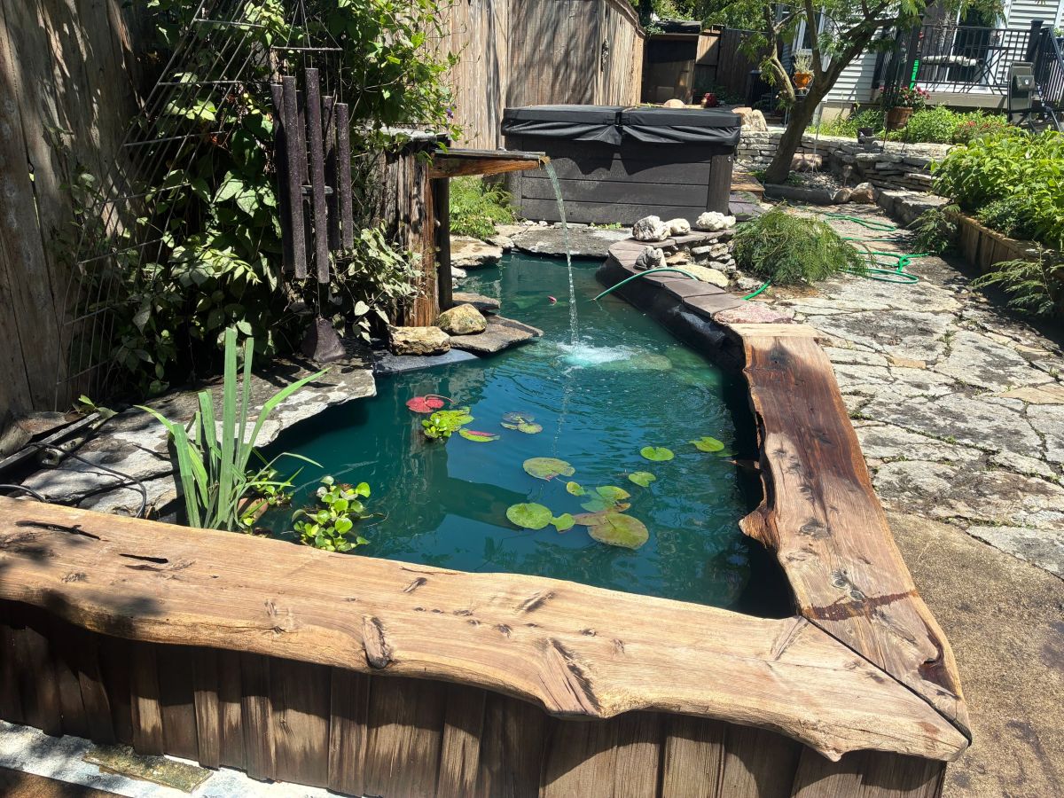 Garden pond with waterfall, lily pads, and natural log borders